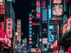 인형들아 싸우지마!