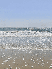 The ending lingers in my mind.