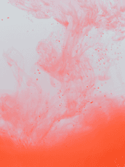 𝓉𝓇𝒶ℊℯ𝒹𝓎