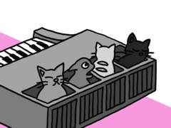 88. 고양이 오르간