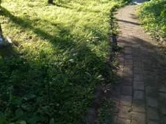 [명급리] 미제 3)