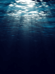 환상 너머에서 들려오는 환희의 송가