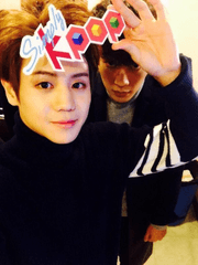 강아지에게 장난치지 마세요