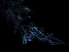 남기설 28세 남자(XY)