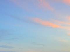 As much as you want.