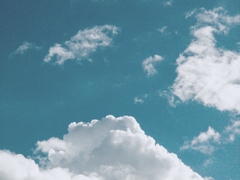 [BL] 오늘도 벚꽃은 흐드러진다.