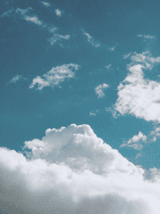 [BL] 오늘도 벚꽃은 흐드러진다.