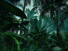 마다가스카르의 올빼미 (3)