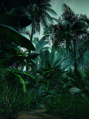 마다가스카르의 올빼미