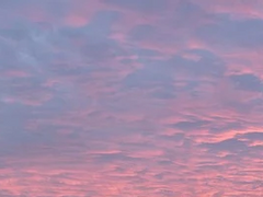 날개 있는 천사