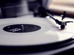 Standa Snowlight | XX | 사냥꾼