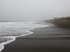 어느 골디락스에 대하여