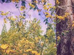 [위키드 리틀 타운]