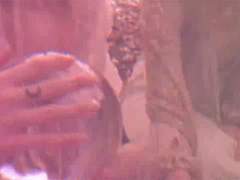 🔮 그분을 믿는 그녀있잖아. 그녀.