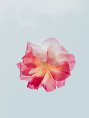 뚜따의 단편 모음