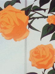 좀비런(ZOMBIE RUN)