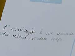 01. 견우를 만난 밤