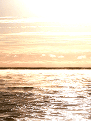 TFATWS 조각 모음