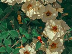 말로 해야 하는 모든 것들이 지겨웠다