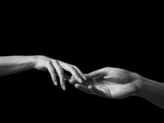 시리우스 블랙과 정략결혼