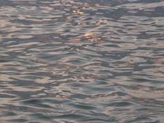 줄어들 바램조차 없지만, 그럼에도