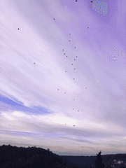 달의 마법소녀 프로젝트