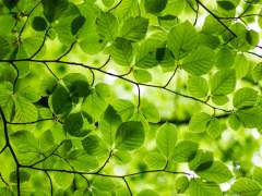 사랑을 시작하는 법