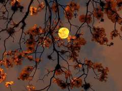 [재숕] 중독(中毒)_외전