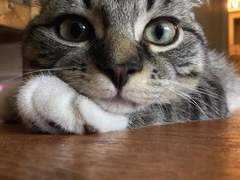 127막내 김여주 모먼트 EP.25