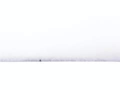 Dear. 퀸센트 셰리퍼드