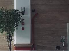 02. 프라자 사람들