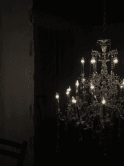 [현제유진] AH_83072U_S