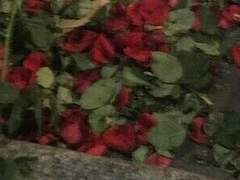 추락의 끝에서 나는 깨달았다*