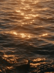 사쿠사의 루틴을 깨는 방법