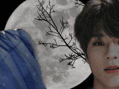 판사님, 저의 죄를 고합니다.