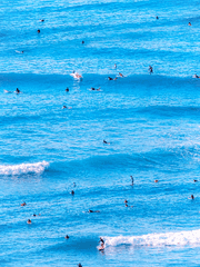 당신의 인생에 스치는