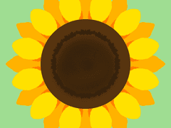 [마들에슾] 해바라기