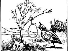 [츠무히나] 올무 #1