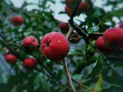 이젠 재미 없을텐데.