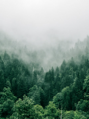 솔나의 마족답게 사는 법 연성