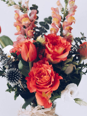 [ GL 로판 소설의 악녀요? ]