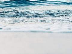 죽은 자는 말이 없고