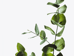 너의 이름을 부를 때 6