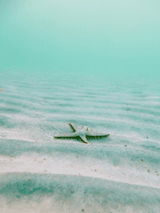사계절 만화 (진행중)