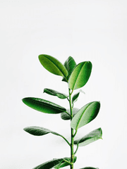 감상한 작품에 대한 짤막한 생각들