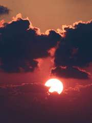 생존자 행동 규칙