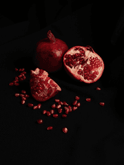 Buddy? Death? Choice!