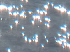 너의 입 안에 있는 케이크의 맛이 느껴졌을 때