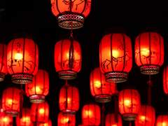 4. 조사에 착수하다