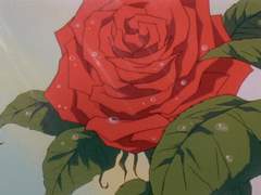 순진한 백작 영애가 황위를 노리는 건에 관하여